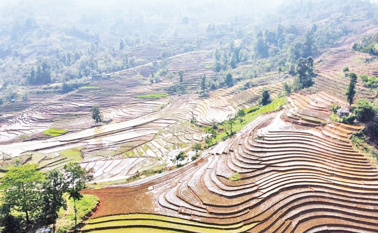 Ruộng bậc thang Y Tý mùa nước đổ hiện lên như những đường vân tay khổng lồ của đất trời. Ruộng bậc thang Y Tý mùa nước đổ hiện lên như những đường vân tay khổng lồ của đất trời.