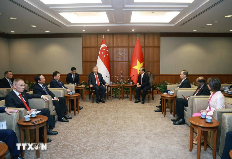 [Ảnh] Tổng Bí thư Tô Lâm gặp Chủ tịch Quốc hội Singapore Seah Kian Peng ảnh 5