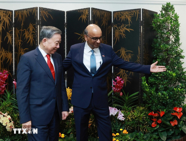 [Ảnh] Tổng Bí thư Tô Lâm hội kiến Tổng thống Singapore Tharman Shanmugaratnam ảnh 3