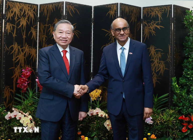 [Ảnh] Tổng Bí thư Tô Lâm hội kiến Tổng thống Singapore Tharman Shanmugaratnam ảnh 1