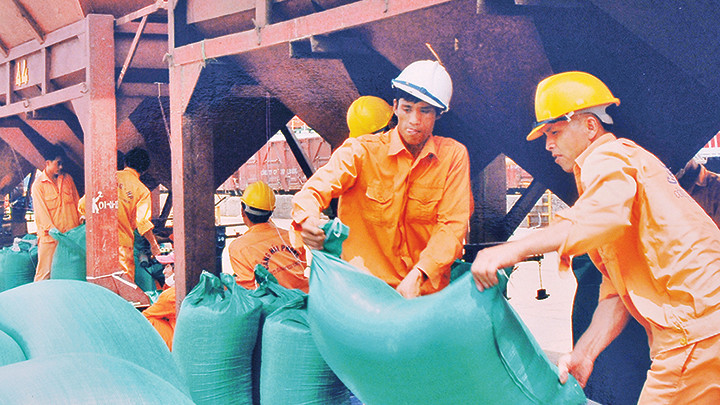 Xuất khẩu nông sản đang đứng trước nhiều khó khăn, thách thức trong bối cảnh hội nhập quốc tế. Ảnh: NAM ANH