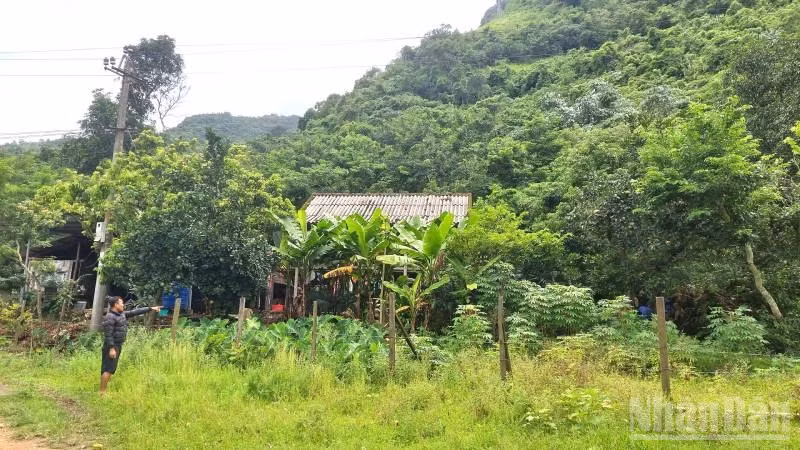 Một số hộ dân sống ngay dưới chân núi Cây Sú ở xã Trường Sơn luôn thấp thỏm sợ đá rơi xuống.