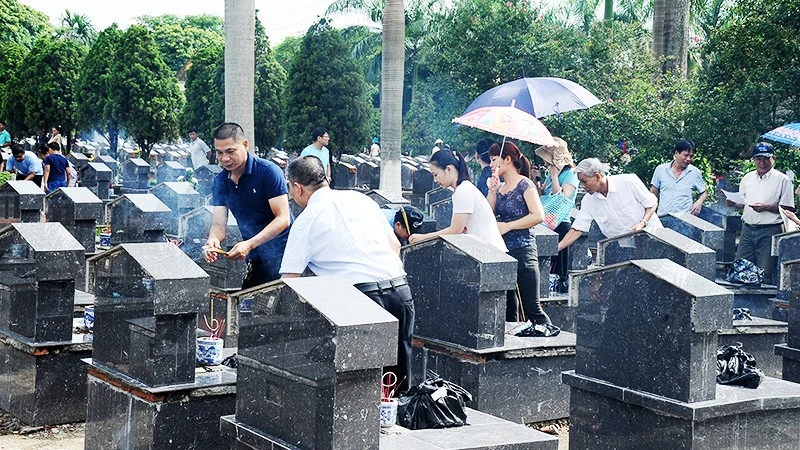 Hành trình 43 năm tìm cha liệt sĩ: Giọt nước mắt sum họp ở Cần Giuộc