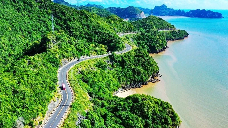 Cát Bà Khoác Áo Hoa Giấy, Đón Làn Sóng Du Lịch Xanh Bùng Nổ
