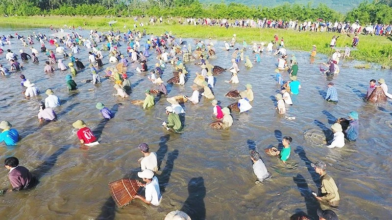 Ký ức tát ao bắt cá và nồi cá kho thơm nức mùa đông quê Bắc