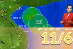 [Video] Dự báo thời tiết đêm nay và ngày mai 11/6/2025: Áp thấp nhiệt đới trên biển Đông