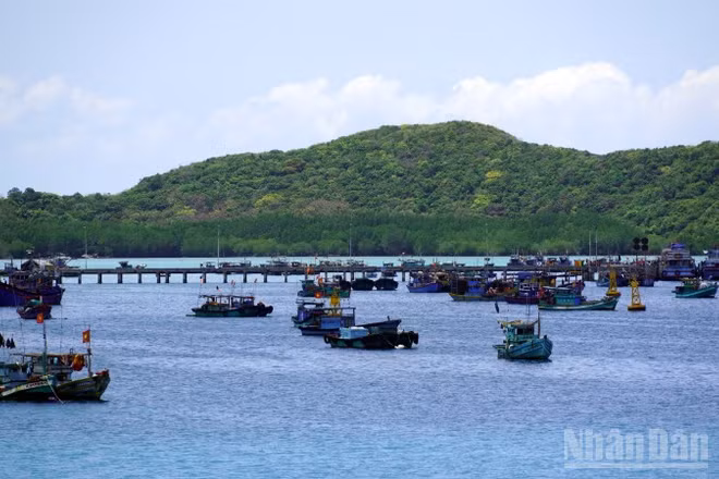 Tàu cá của ngư dân neo ở vịnh Bến Đầm, Côn Đảo, Thành phố Hồ Chí Minh. (Ảnh: Lê Đình Thìn)