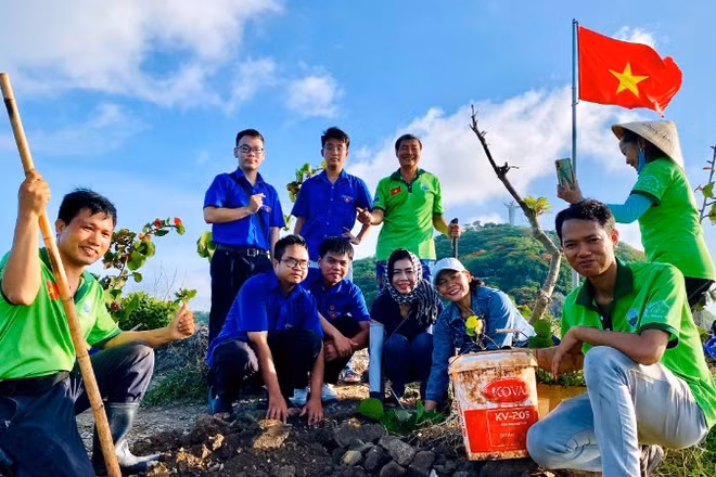 Trồng cây phủ xanh mũi Nghinh Phong, phường Vũng Tàu sáng 7/6. 