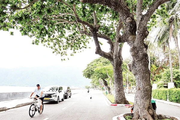 Đặc khu Côn Đảo đang triển khai nhiều giải pháp về kinh tế tuần hoàn để hướng tới các mục tiêu phát triển bền vững.