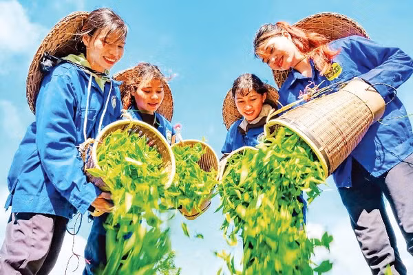 Nhiều trải nghiệm du lịch cộng đồng, văn hóa đặc sắc tại Kon Plông.