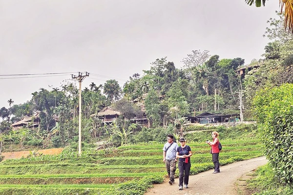 Du khách nước ngoài trải nghiệm, khám phá hệ sinh thái ở Pù Luông, tỉnh Thanh Hóa.