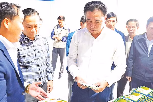 Thành phố Huế đã ban hành nhiều chính sách hỗ trợ nhằm thu hút doanh nghiệp đầu tư vào lĩnh vực phát triển kinh tế xanh, kinh tế tuần hoàn.