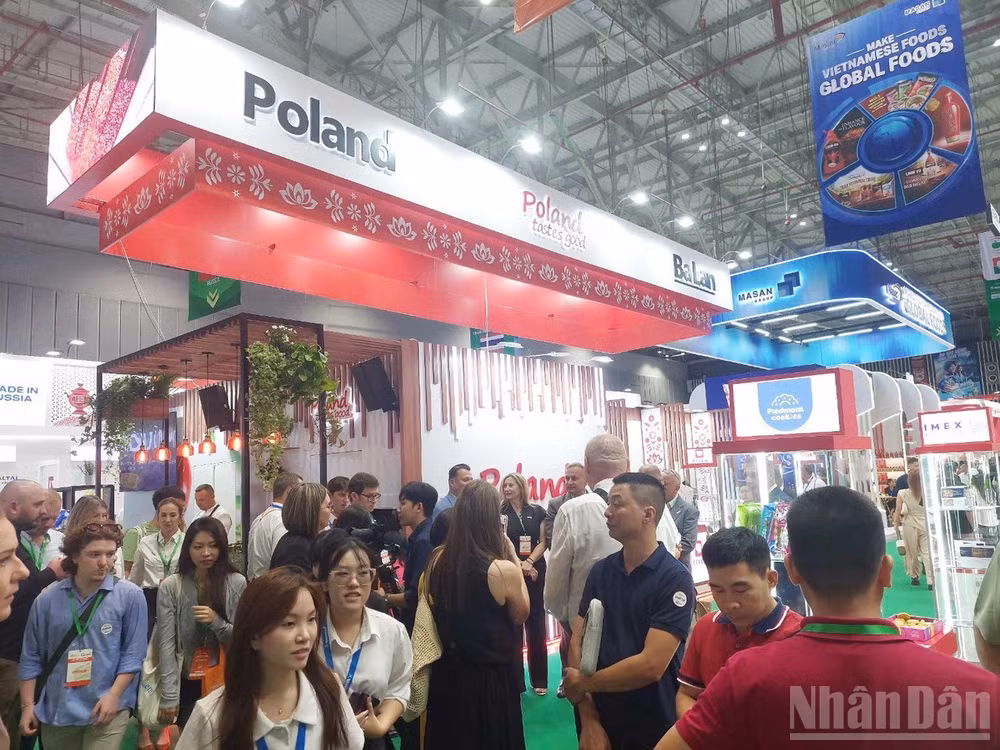 ndo_br_3-tlhcm1786248719086-2144425532258970042-5403002401184974723-d14f9c0f145e6caef189f49a148aa315.jpg
