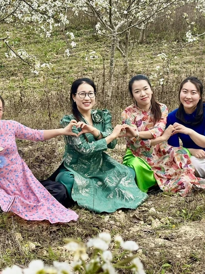 Vườn lê nở trắng ở xã biên giới Phố Bảng.