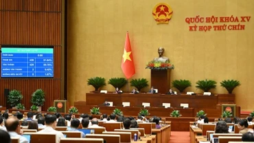 Quốc hội biểu quyết thông qua Luật sửa đổi, bổ sung một số điều của Bộ luật Hình sự. (Ảnh: THỦY NGUYÊN)