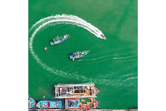 Thủy sản Việt Nam - Phát triển minh bạch, bền vững