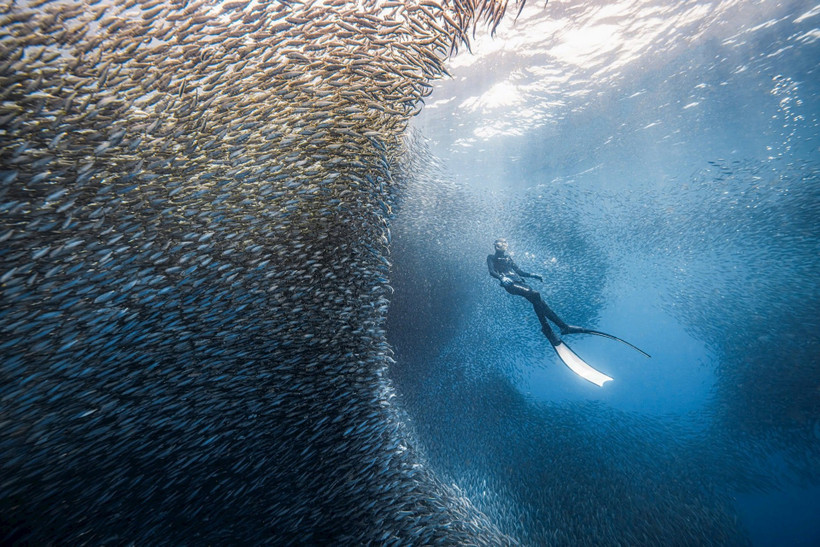 Ảnh: NGUYỄN NGỌC THIỆN