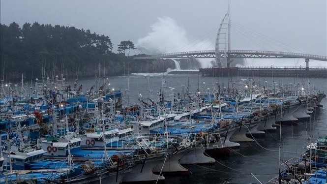 Tàu thuyền neo đậu tại đảo Jeju, Hàn Quốc. (Ảnh: THX/TTXVN)