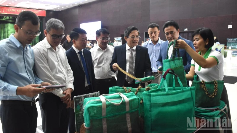 Đà Nẵng Kiên Định Chuyển Đổi Xanh, Hướng Tới Đô Thị Sinh Thái Và Thông Minh