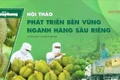Hội thảo “Phát triển bền vững ngành hàng sầu riêng” do Báo Tiền Phong tổ chức ngày 10/6 theo hình thức trực tiếp và trực tuyến.