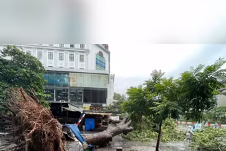 Bản tin Thời sự sáng 23/7: Không chủ quan khi bão số 3 hạ cấp, vẫn có mưa to gây lũ quét, sạt lở