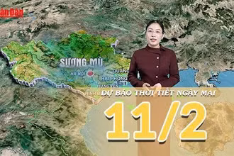 [Video] Dự báo thời tiết đêm nay và ngày mai 11/2/2026: Bắc Bộ mưa phùn và sương mù, Nam Bộ đón mưa trái mùa