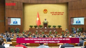 Hà Nội Thực Thi Chỉ Thị Xóa Bãi Trông Giữ Xe Dưới Gầm Cầu Trước Ngày 30/10