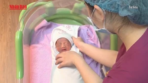 [Video] Phụ nữ độc thân có quyền làm thụ tinh trong ống nghiệm khi “có nguyện vọng”