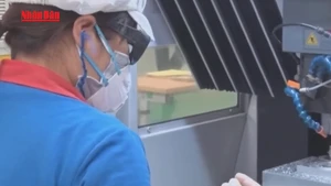[Video] Quy định mới về quản lý lao động nước ngoài tại Việt Nam 