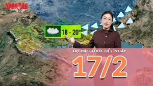 [Video] Dự báo thời tiết Mùng 1 Tết Bính Ngọ: Miền Bắc đón "lộc Xuân", phương Nam nắng ấm rạng rỡ