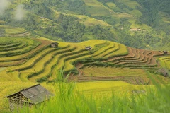 Ảnh: NAM NGUYỄN