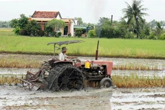 Nông dân huyện Cần Ðước (Long An) làm đất gieo cấy vụ lúa đông xuân. Ảnh: HỒNG PHONG