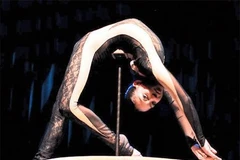 Liên hoan xiếc quốc tế.