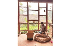 Nghệ sĩ Andy Davis tại Mường Studio tháng 12-2014. Ảnh: Mường Studio cung cấp