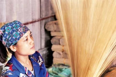 Ảnh: Đăng Anh 