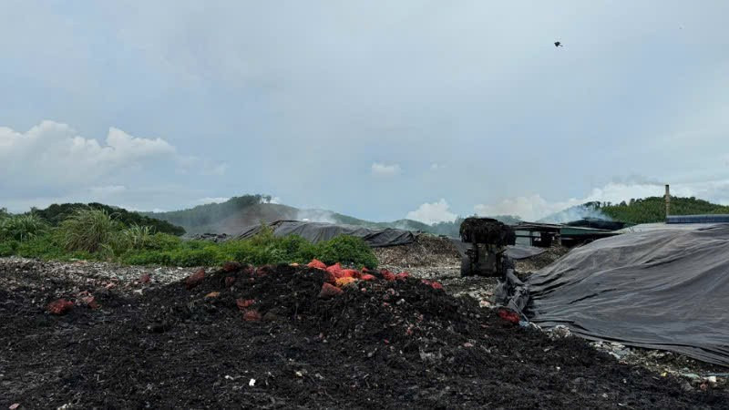 ngao-3.jpg