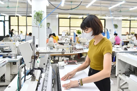 Chuyển đổi số-xanh trong năm 2025 giúp Công ty May 10 giảm khoảng 15-20 nghìn tấn carbon thải ra môi trường. Ảnh: Thế Đại 