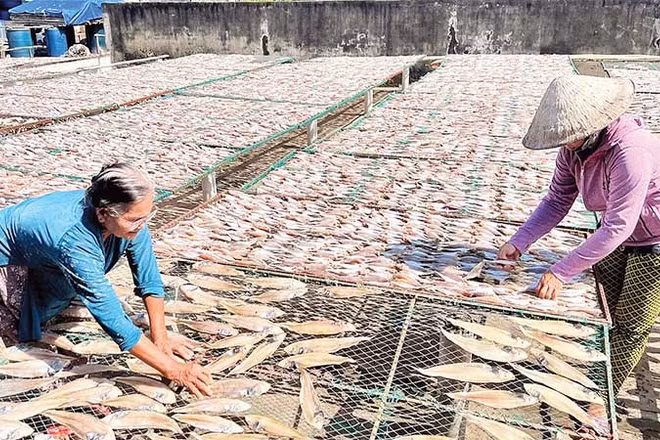 Làng nghề cá khô Bình Thắng tất bật vào vụ Tết.