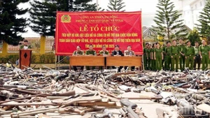 Quang cảnh lễ tổ chức tiêu hủy vũ khí, vật liệu nổ và công cụ hỗ trợ qua cuộc vận động toàn dân giao nộp.