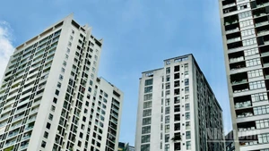 Chung cư tiếp tục là loại hình được ưa chuộng nhất. (Ảnh: HNV)