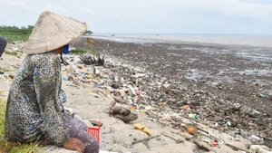 Nhiều khu vực ở đê biển Gò Công (tỉnh Đồng Tháp) bị sạt lở và cần đầu tư khẩn cấp.