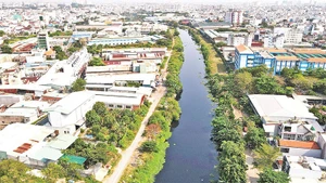 Dự án cải tạo môi trường kênh Tham Lương-Bến Cát-rạch Nước Lên dài 32km đang được đẩy nhanh tiến độ. (Ảnh THẾ ANH)
