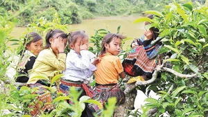 Nụ cười trẻ em miền núi. (Ảnh: ĐĂNG KHOA, BÁO NHÂN DÂN)