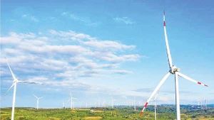 Cánh đồng điện gió Ea Nam, Đắk Lắk. Ảnh: Trung Nam