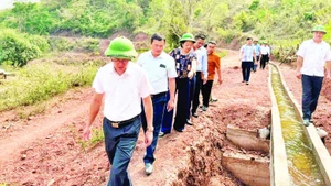 Lãnh đạo xã Na Sang kiểm tra thực địa quy hoạch sản xuất nông nghiệp trên địa bàn.