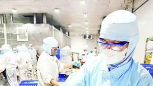 Ông Nguyễn Văn Tèo sau khi bị tai nạn lao động vẫn được công ty bố trí vào làm việc bình thường.
