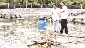 Đảng viên hỗ trợ đồng bào dân tộc thiểu số kỹ thuật nuôi tôm công nghệ cao ở Sóc Trăng. (Ảnh NGUYỄN PHONG)