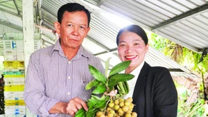 Thanh nhãn được xem là sản phẩm xuất khẩu thế mạnh của Vina T&T Group trong nhiều năm qua.