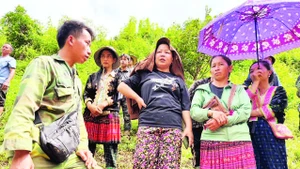 Trưởng bản Mùa A Thi (ngoài cùng, bên trái) trao đổi với người dân trong bản. (Ảnh VŨ LỢI)