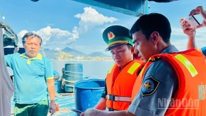 Mục tiêu của đợt ra quân này là gỡ bỏ cảnh báo “thẻ vàng” của Ủy ban châu Âu (EC) trong đợt thanh tra lần thứ 5. (Ảnh: ĐÌNH TĂNG)